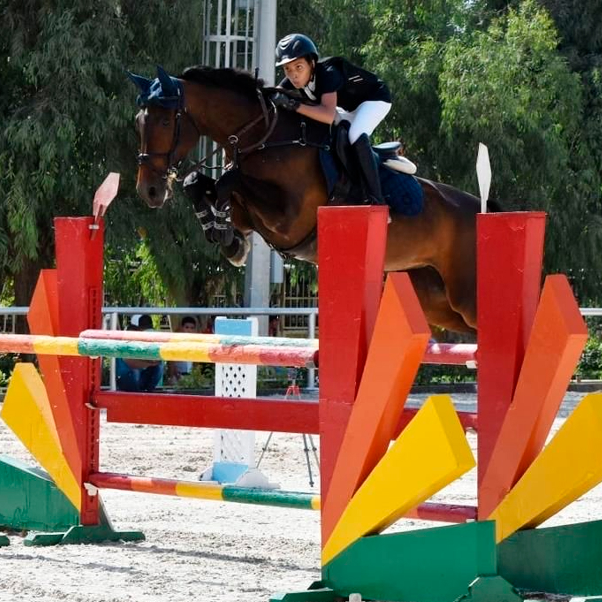atleta-cavallo